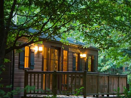 Cabin at Disney Davy Crockett Ranch
