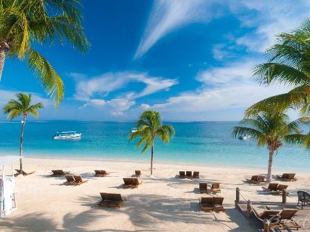 Beach with palm trees at Beaches Ochos Rios Resort