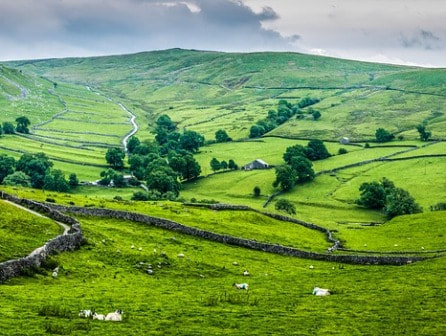 Dry stone walls in Yorkshire