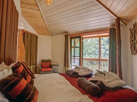 Inside the treehouse at Deerpark Forest