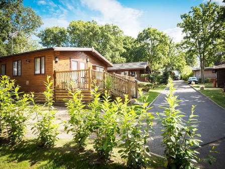 Trees and lodge at Edgeley Holiday Park