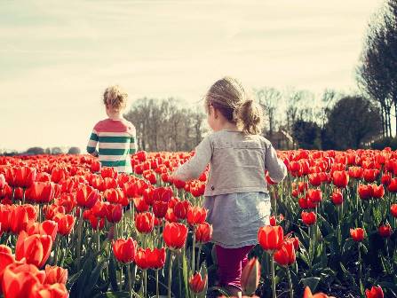 Girls running through tulips in Holland