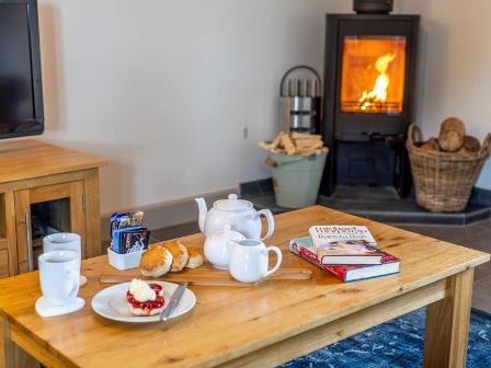 Log fire at Worthyvale Farm holiday cottage in Cornwall