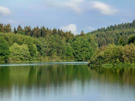 Woodland and lake in Belgium