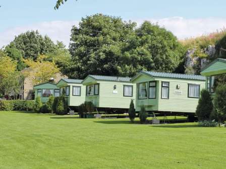 Caravans lined up at Lime Tree Park