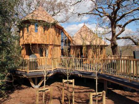 Silvertree treehouse accommodation at Shorefield Country Park